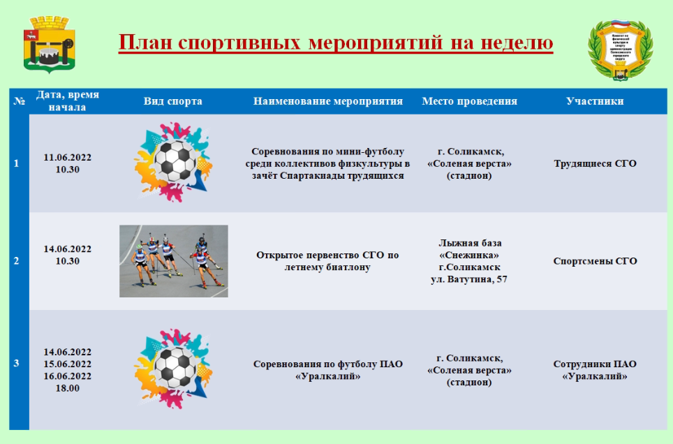 План мероприятий спортивных мероприятий. План спортивных мероприятий в организации. План мероприятий спортивных мероприятий. План спортивного праздника. План физкультурных и спортивных мероприятий.